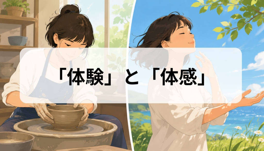 体験と体感の違い 意味・使い分け・経験や実感との違いを例文で解説