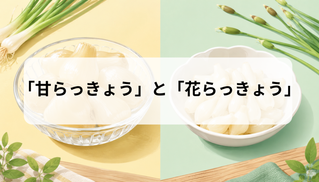 甘らっきょうと花らっきょうの違いを徹底比較｜甘酢の味・粒の大きさ・食感・産地・三年子の選び方