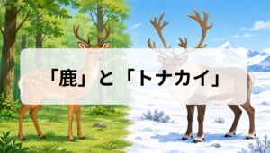 鹿とトナカイの違いは？角・大きさ・生息地と見分け方を比較