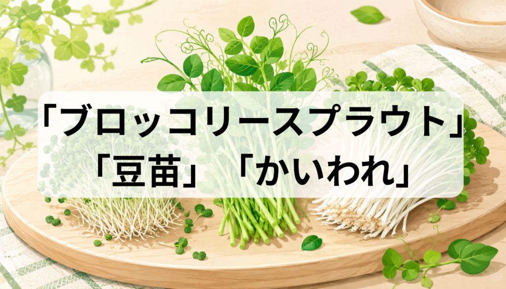 ブロッコリースプラウト・豆苗・かいわれの違いは？栄養と選び方を比較