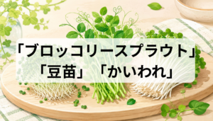 ブロッコリースプラウト・豆苗・かいわれの違いは？栄養と選び方を比較